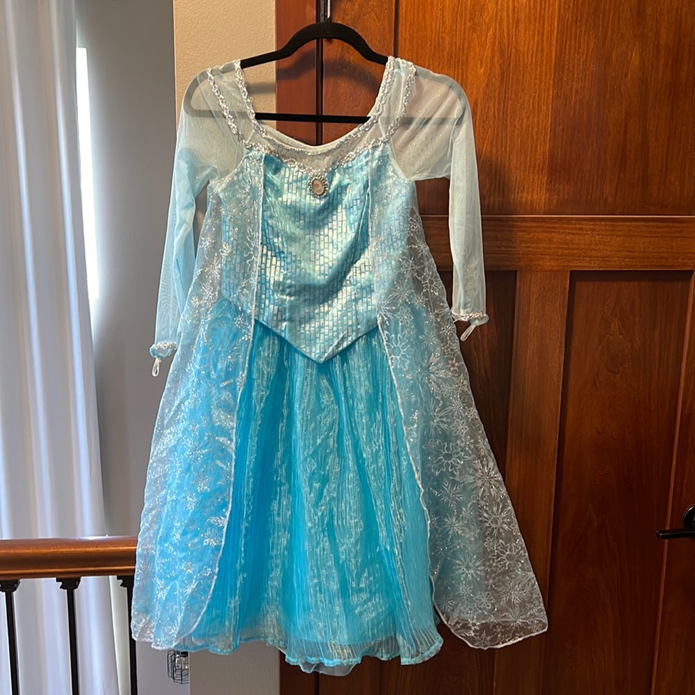Disney Parks Elsa Dress